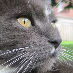 Meet your Posher, Chantal